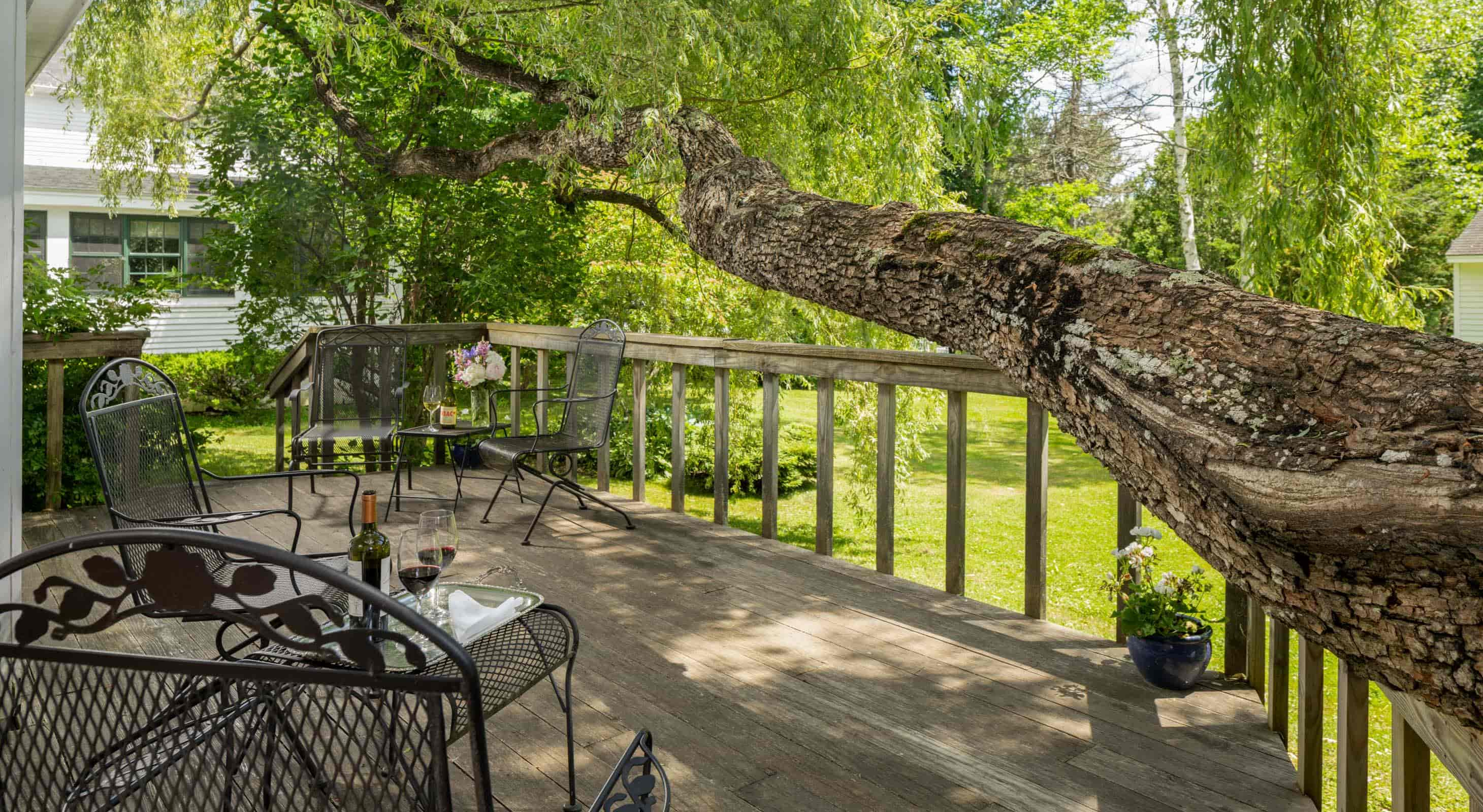 Cape House Suite deck with a large area and a tree overhanging the edge