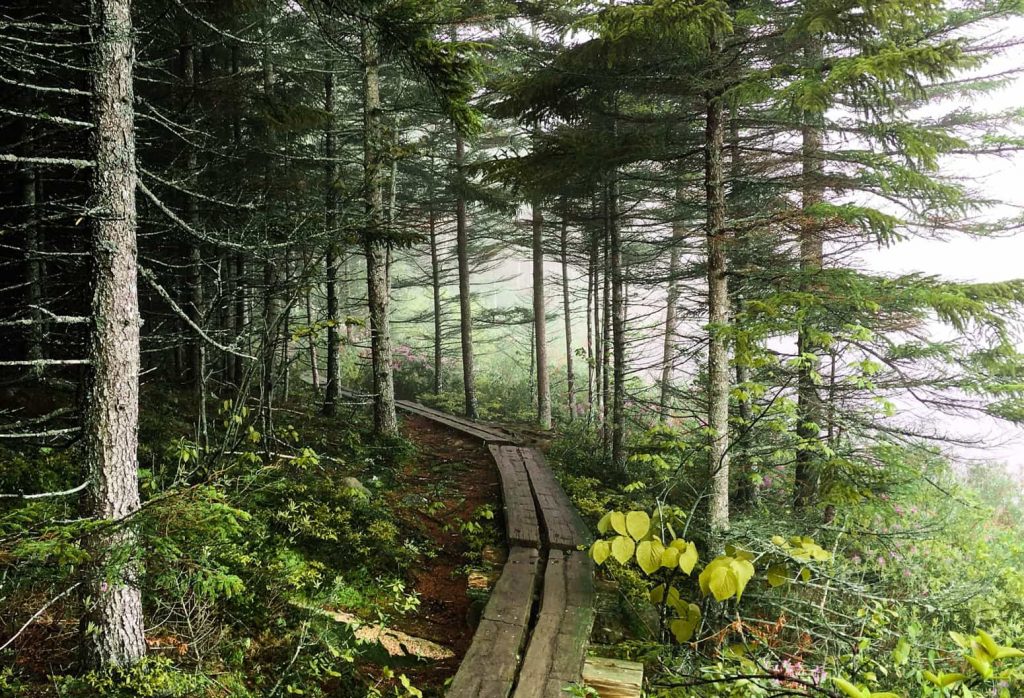 Best Things To Do In DownEast Maine Blue Hill Peninsula Activities