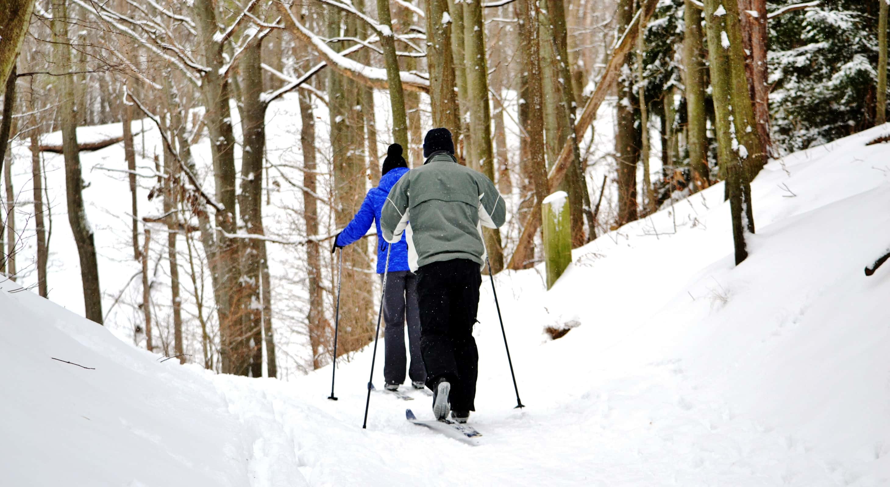 Two people cross country skiing through a forest