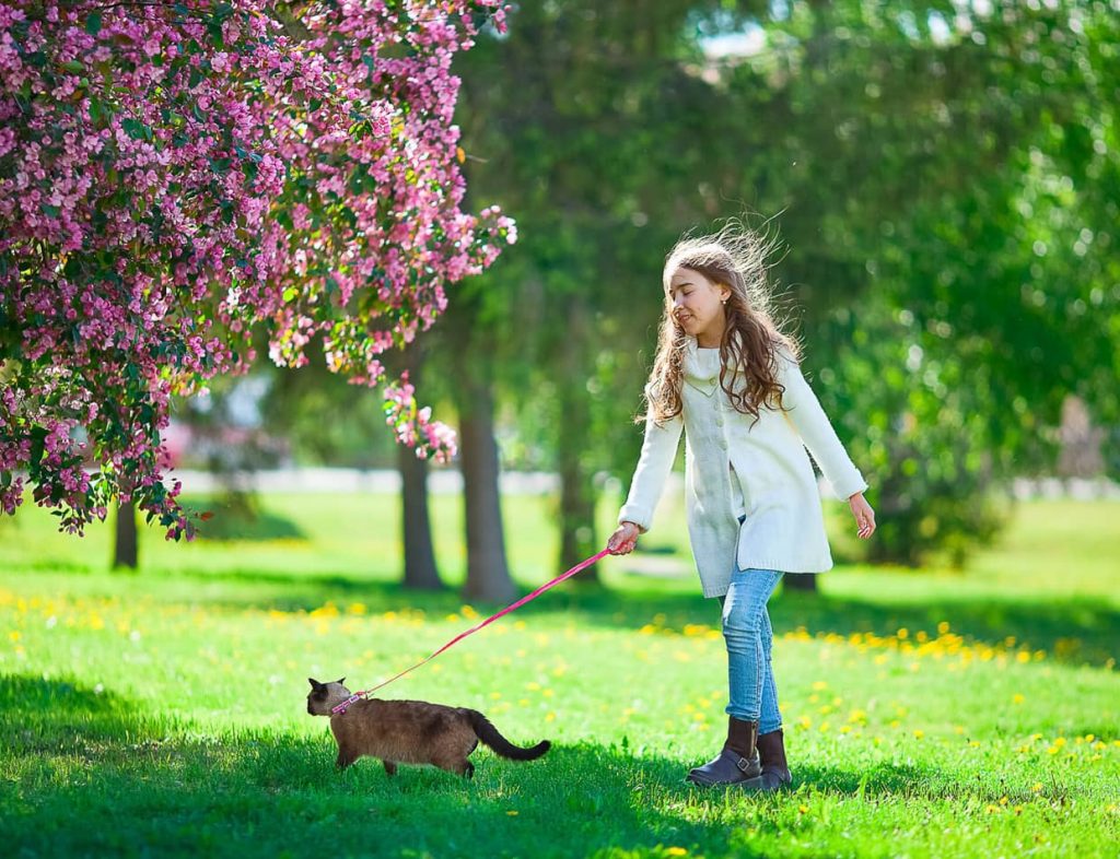 maine-coast-pet-friendly-lodging-historic-inn-in-blue-hill-me