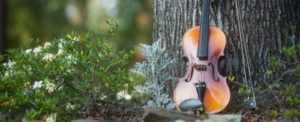 violin and bow leaning up against a tree outside in the forest near a bush with white and yellow flowers