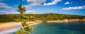 panoramic view of Sand Beach, the ocean, cloudy blue sky, and forests of Acadia National Park in Maine, with tree in the foreground