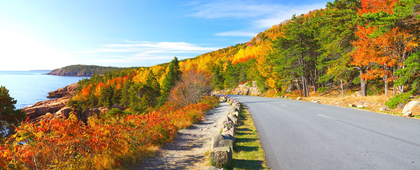 A road in autumn along the coast of Maine in Acadia National Park with the ocean to the left and surrounded by trees turned orange and yellow