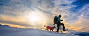 woman with a backpack and poles snowshoeing with a small dog wearing a red jacket through snow with a cloudy sky, mountain range, and sun in the background.
