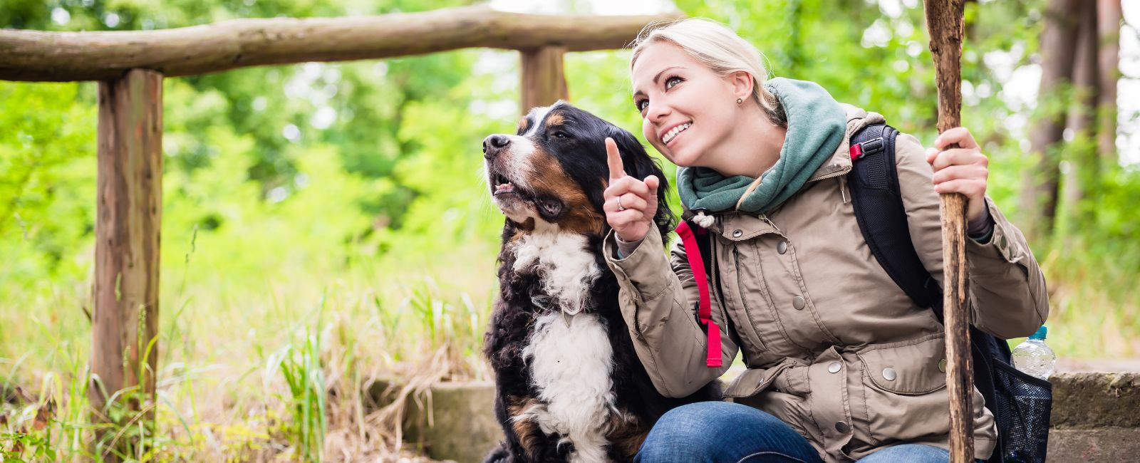 blonde woman with a walking stick sitting next to her Bernese mountain dog in the woods
