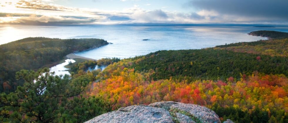 aerial view of the coast and acadia national park with fall foliage