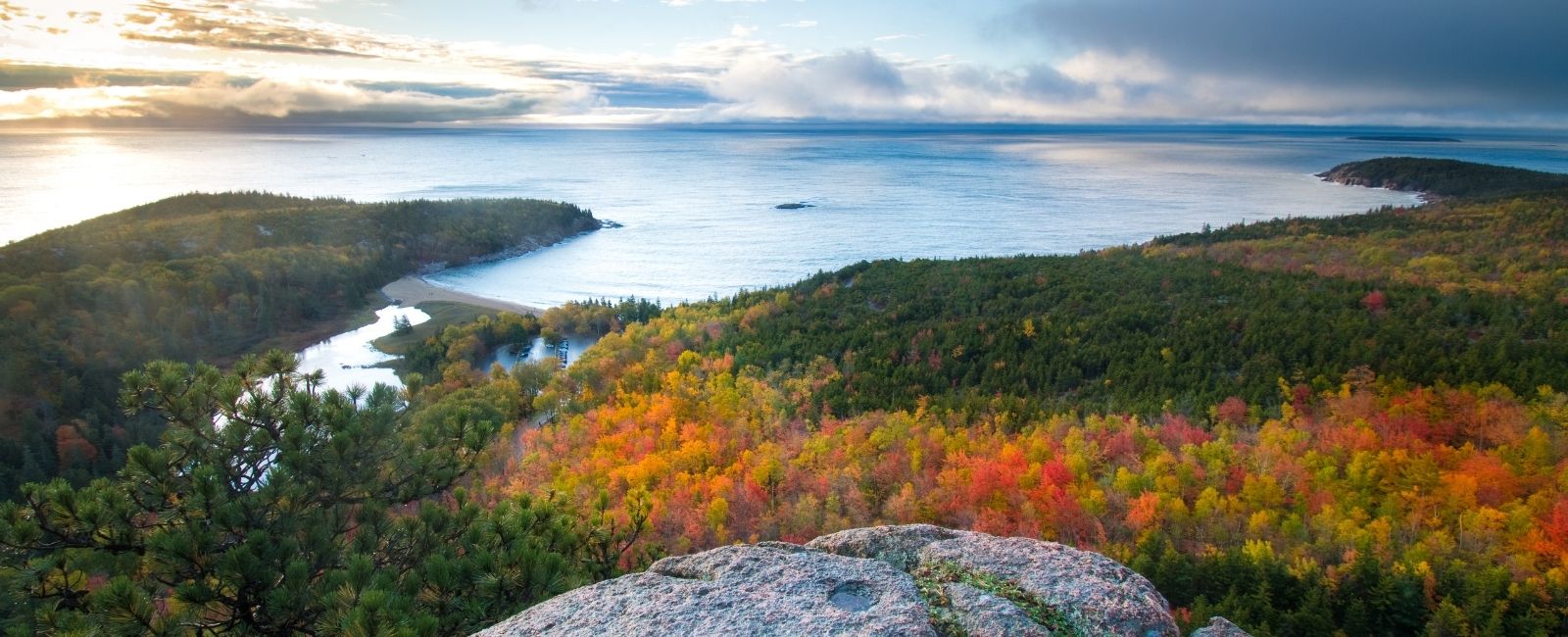 aerial view of the coast and acadia national park with fall foliage