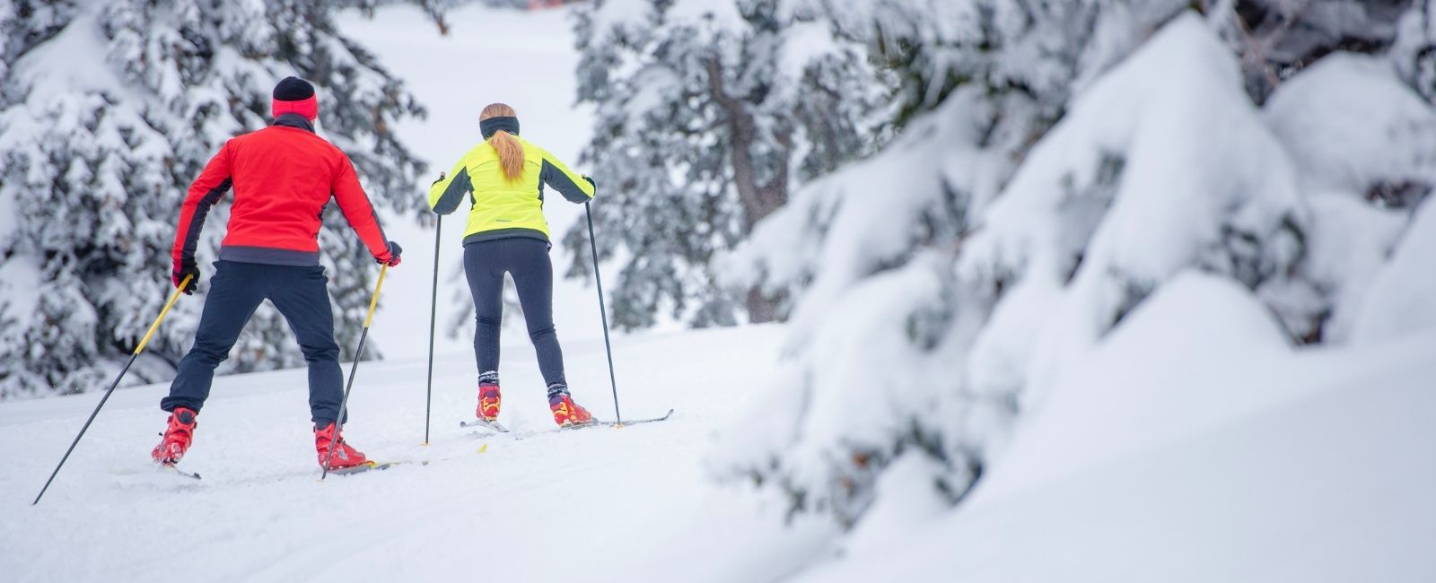 wide shot of couple back country nordic skiing